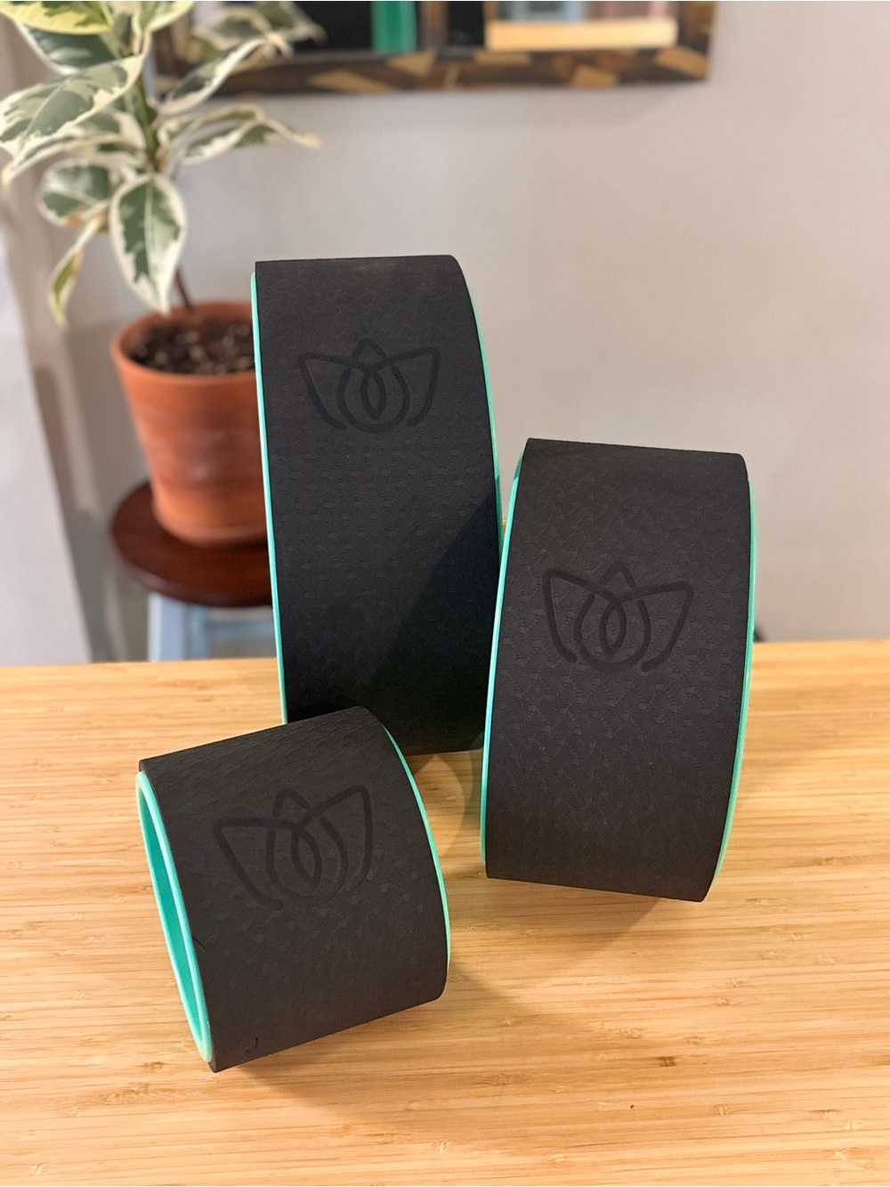 Florensi yoga wheel 3 pack